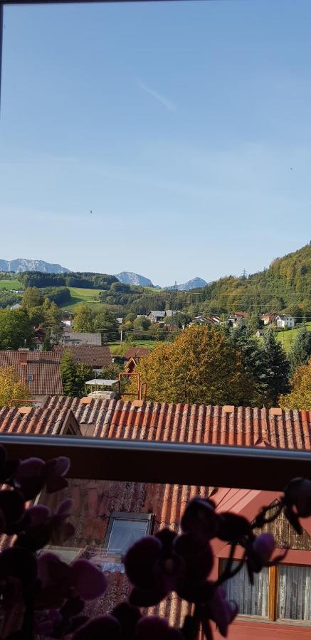 Auszeit Am Traunsee Altmuenster Ngoại thất bức ảnh